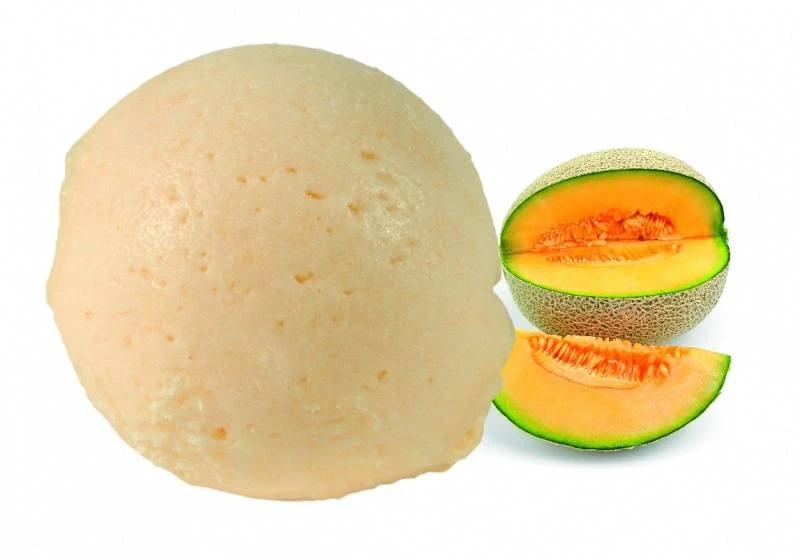 Sorbet plein fruit melon