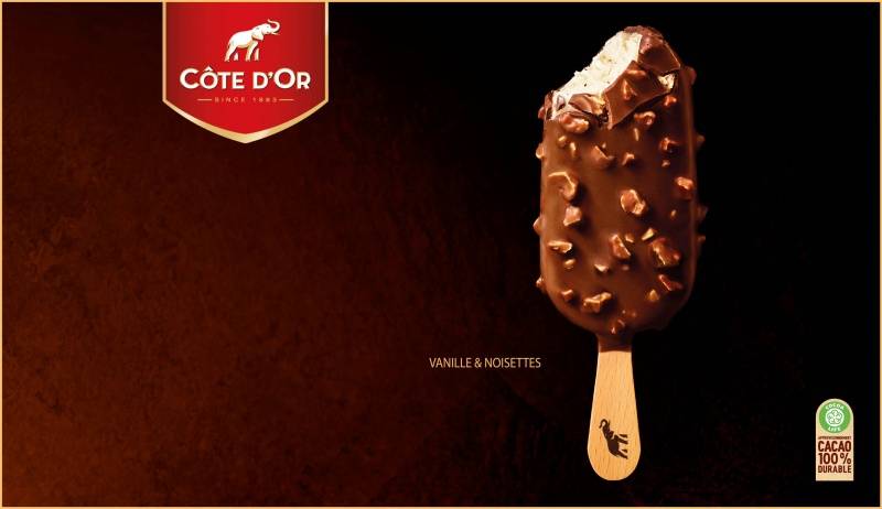Bâtonnet Cote d'Or vanille chocolat lait et noisette